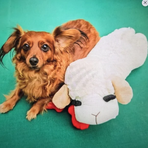 Dreamworks-Lamb Chop Dog Interactive Plush Toy 24" - Picture 5 of 8